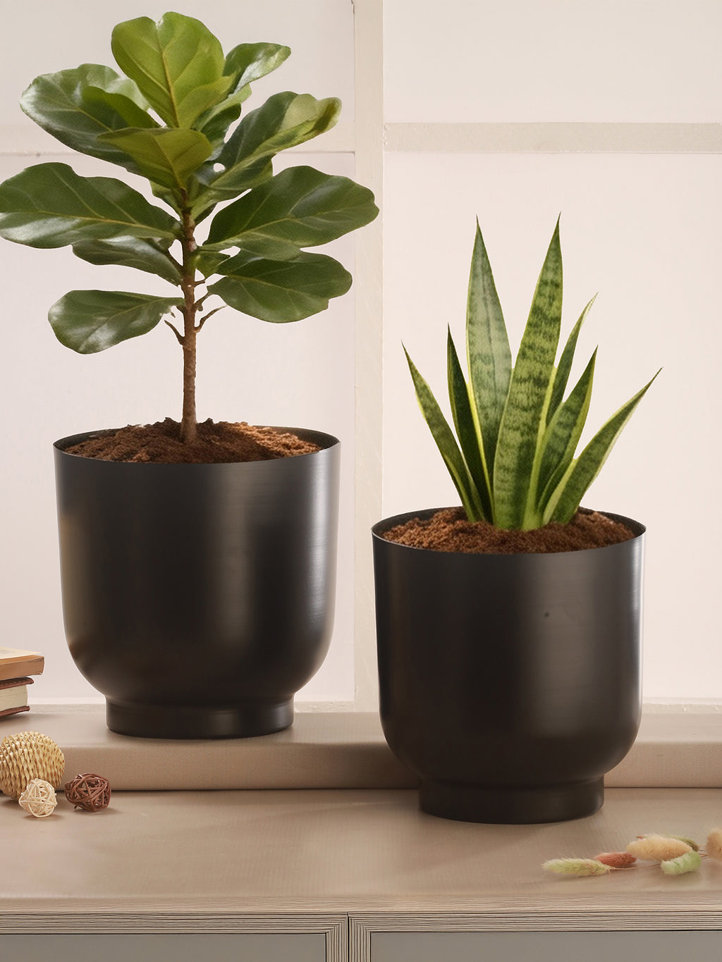 Matte Black Metal Planter Duo