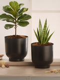 Matte Black Metal Planter Duo