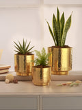 Luxe Gold Metal Planters (Set of 3)