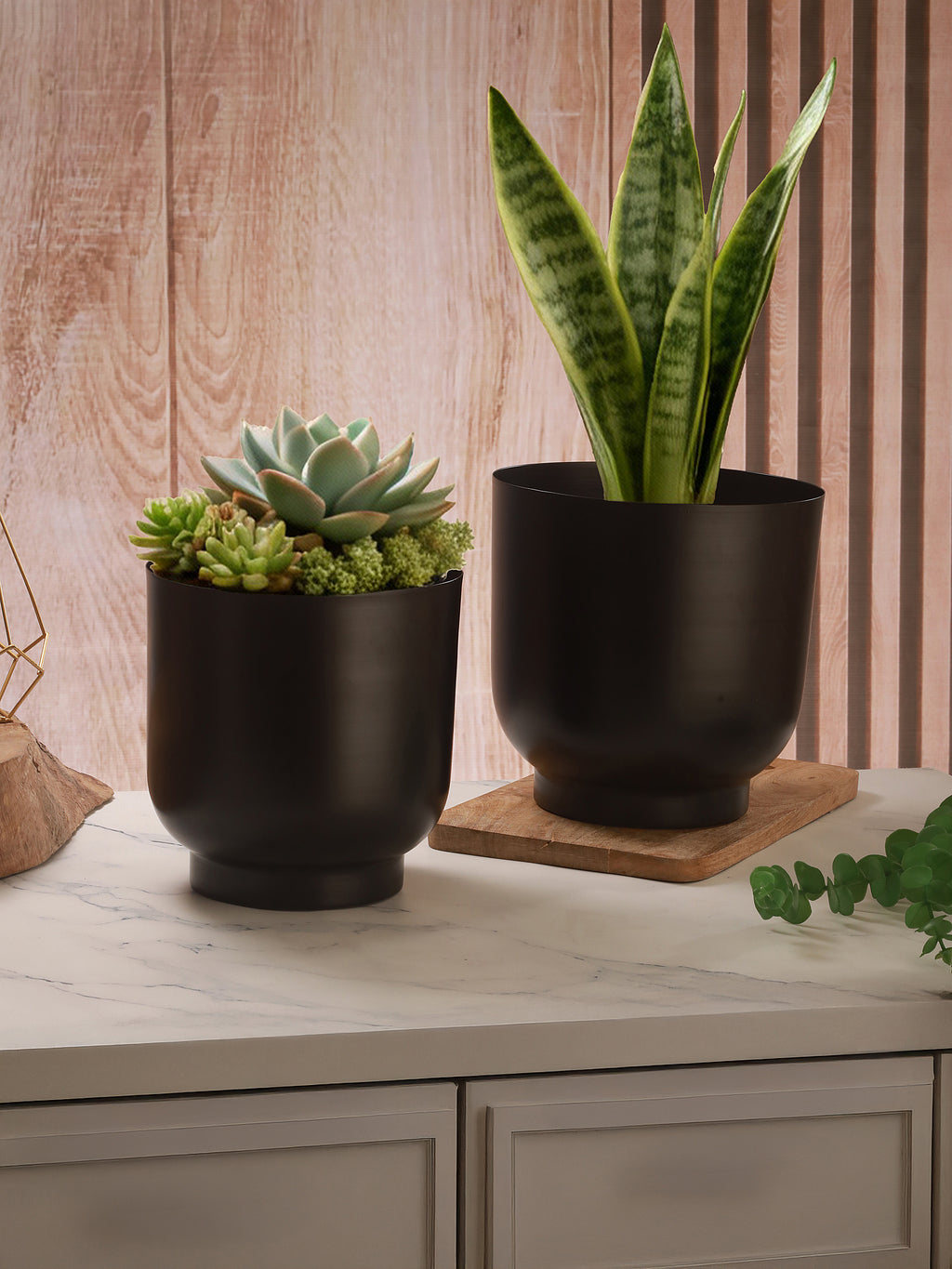Matte Black Metal Planter Duo