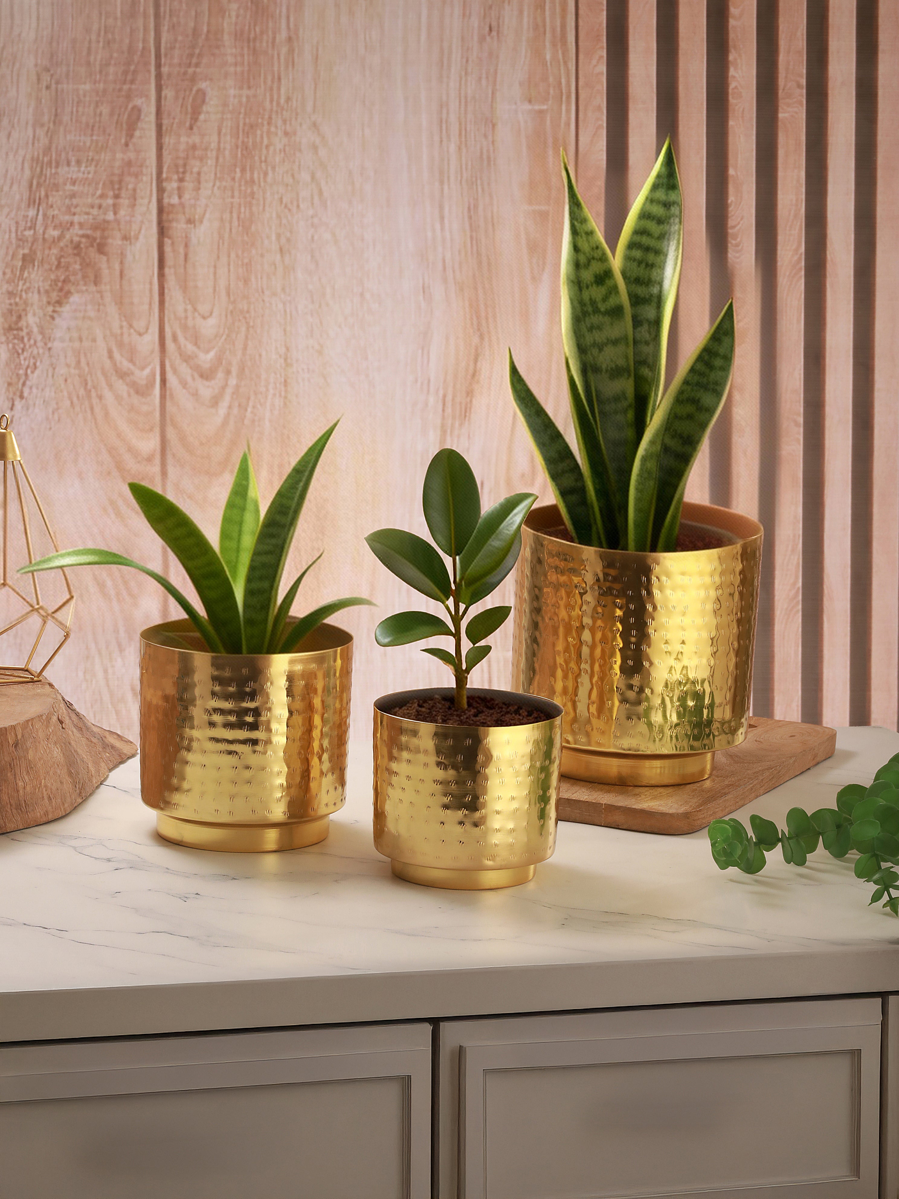 Luxe Gold Metal Planters (Set of 3)