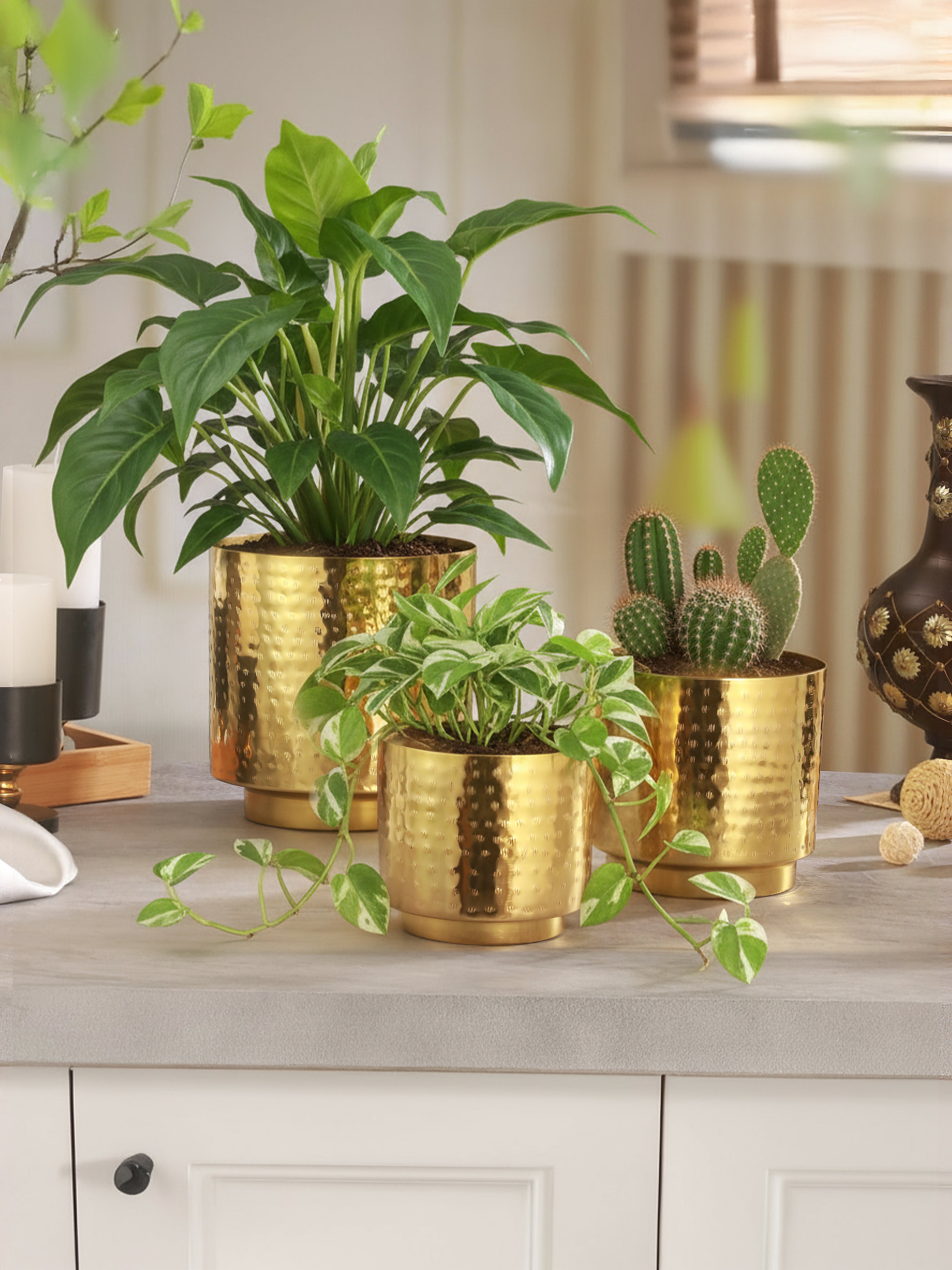 Luxe Gold Metal Planters (Set of 3)