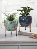 Heaven Blush Planter - Set Of Two