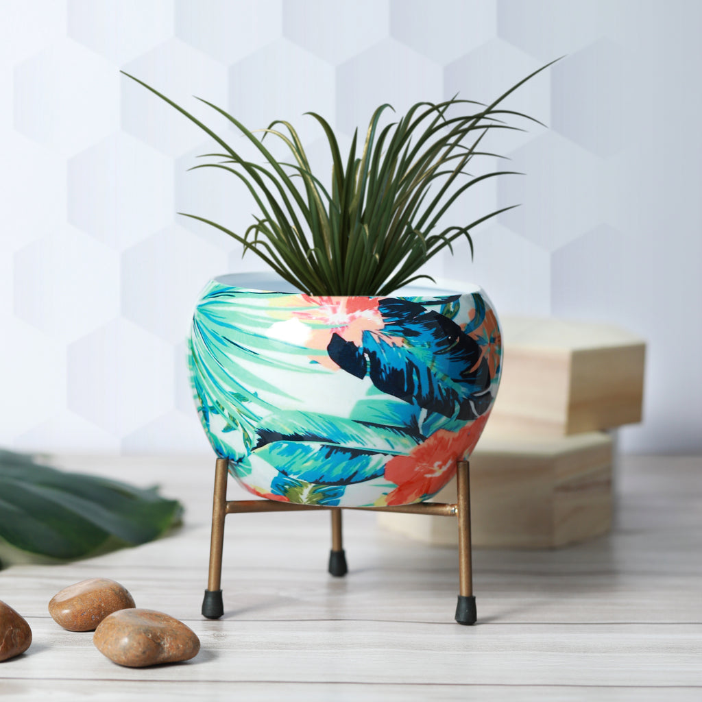 Wilma Glow Planter - Set Of Two