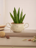 UrbanSaucer Pot