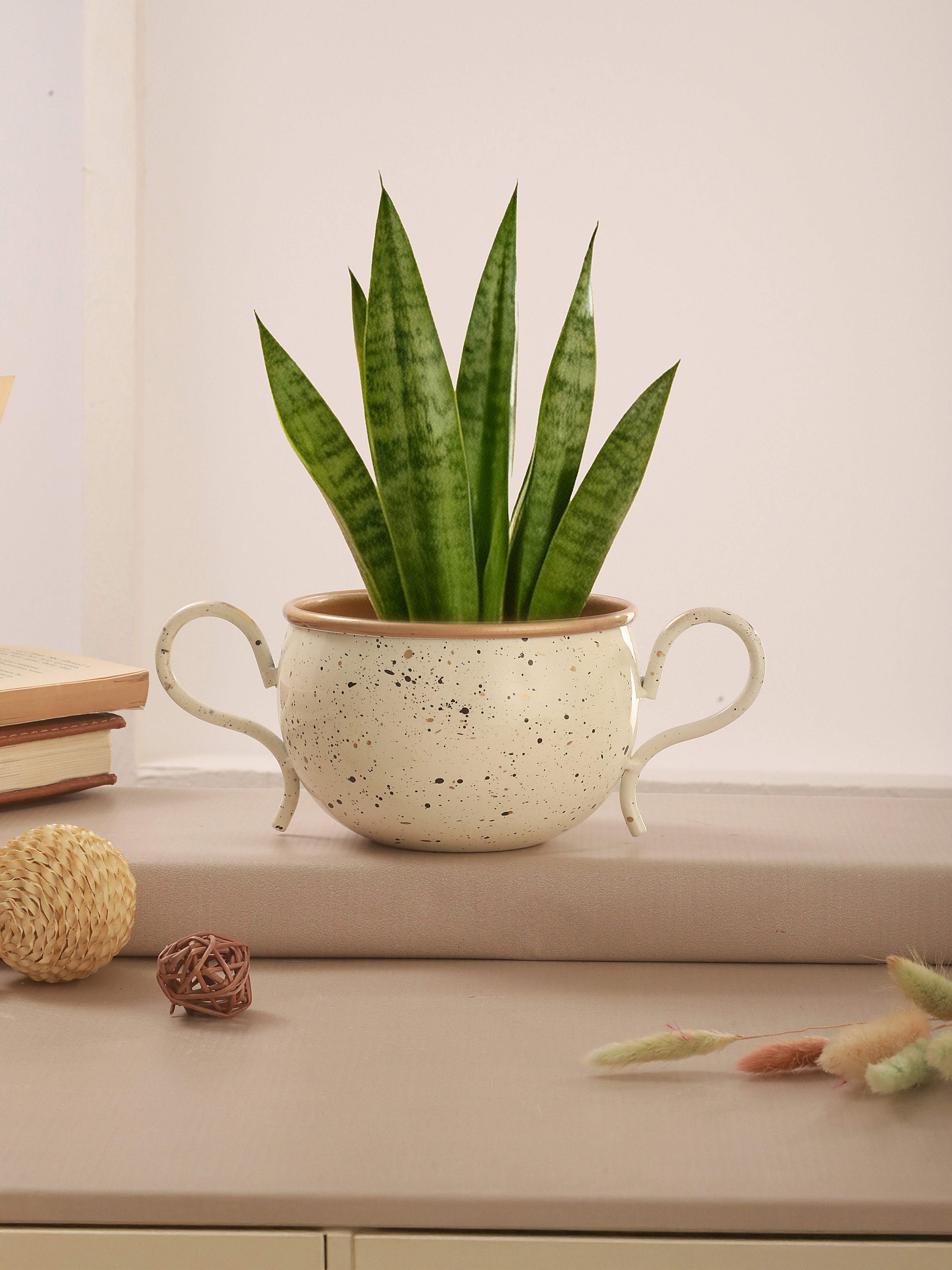 UrbanSaucer Pot