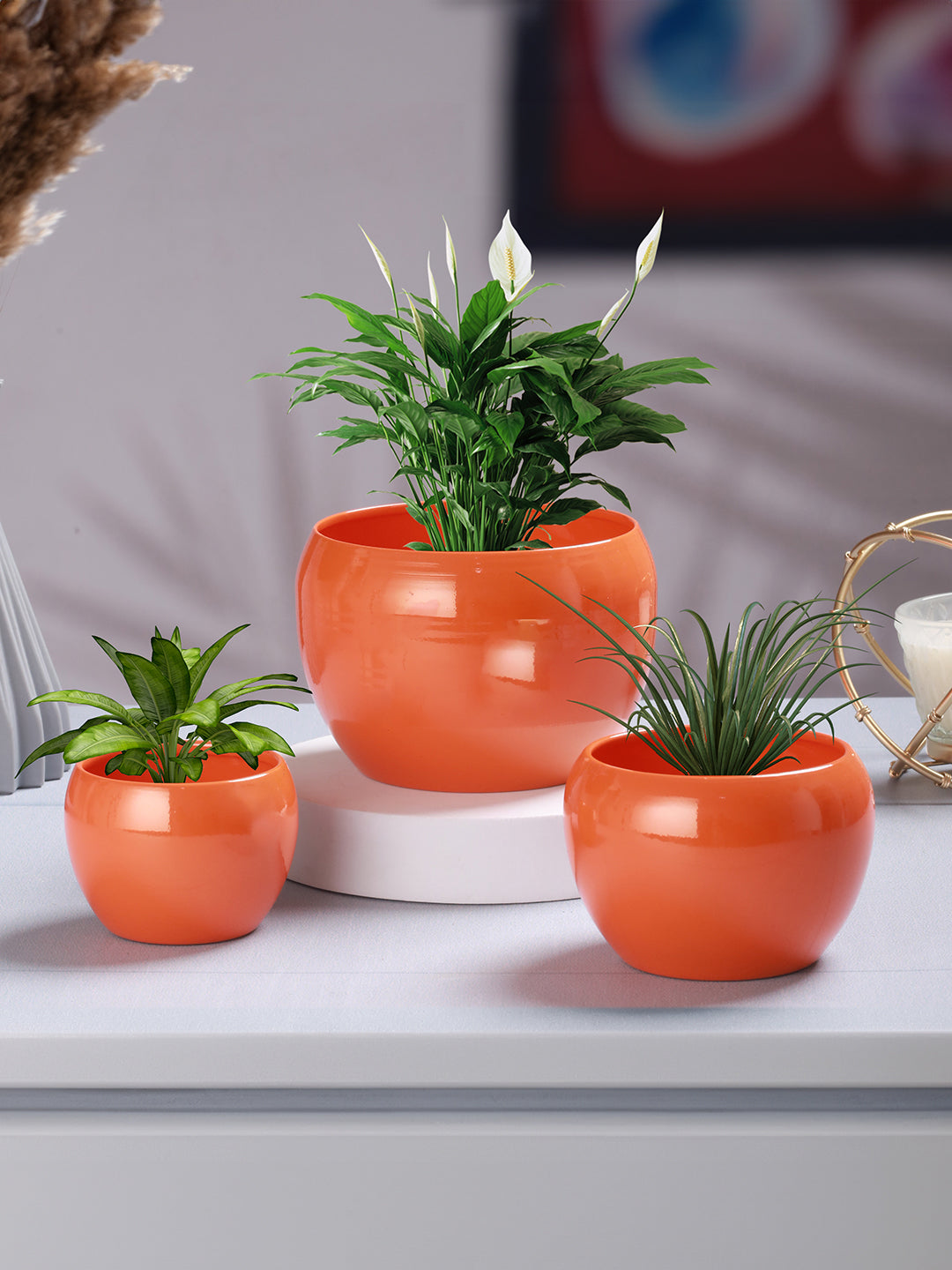 Ivera Dune Planter - Set of Three
