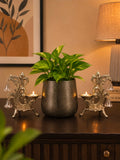 Divine Harmony Styling Set