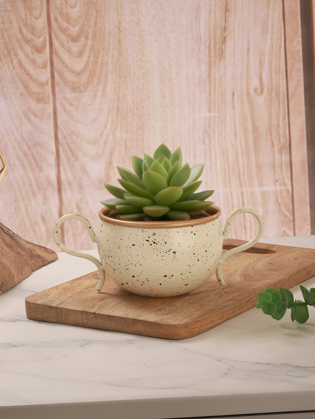 UrbanSaucer Pot