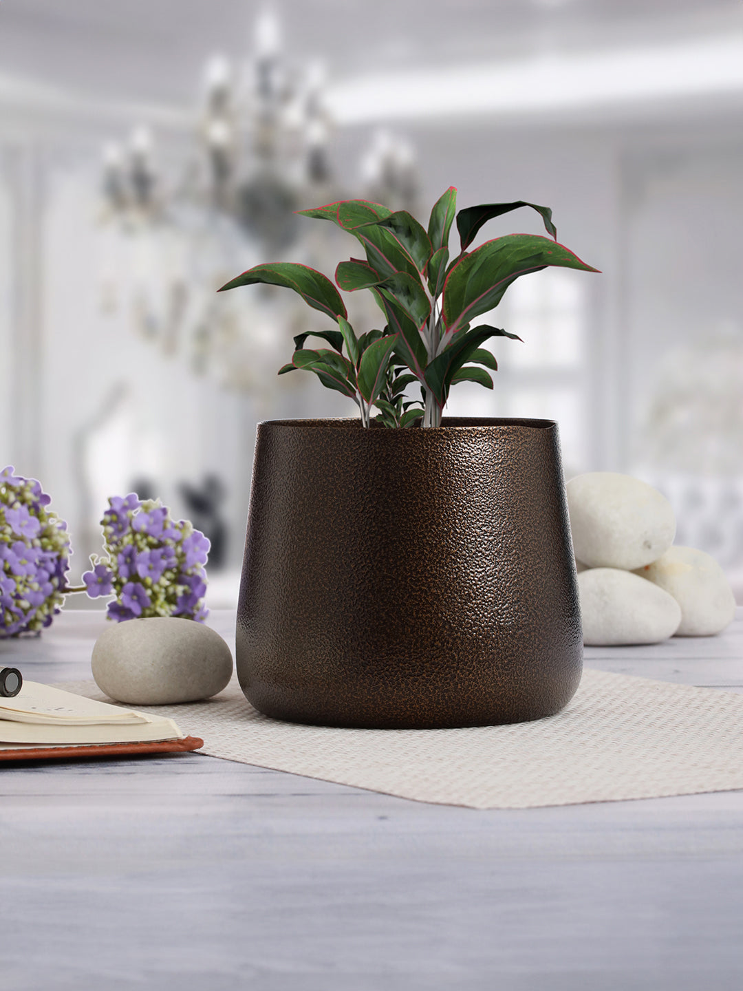 Luxe Styling Set
