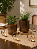 Nature-Inspired Dining Styling