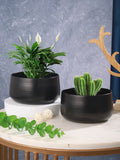 Helena Hue Planter