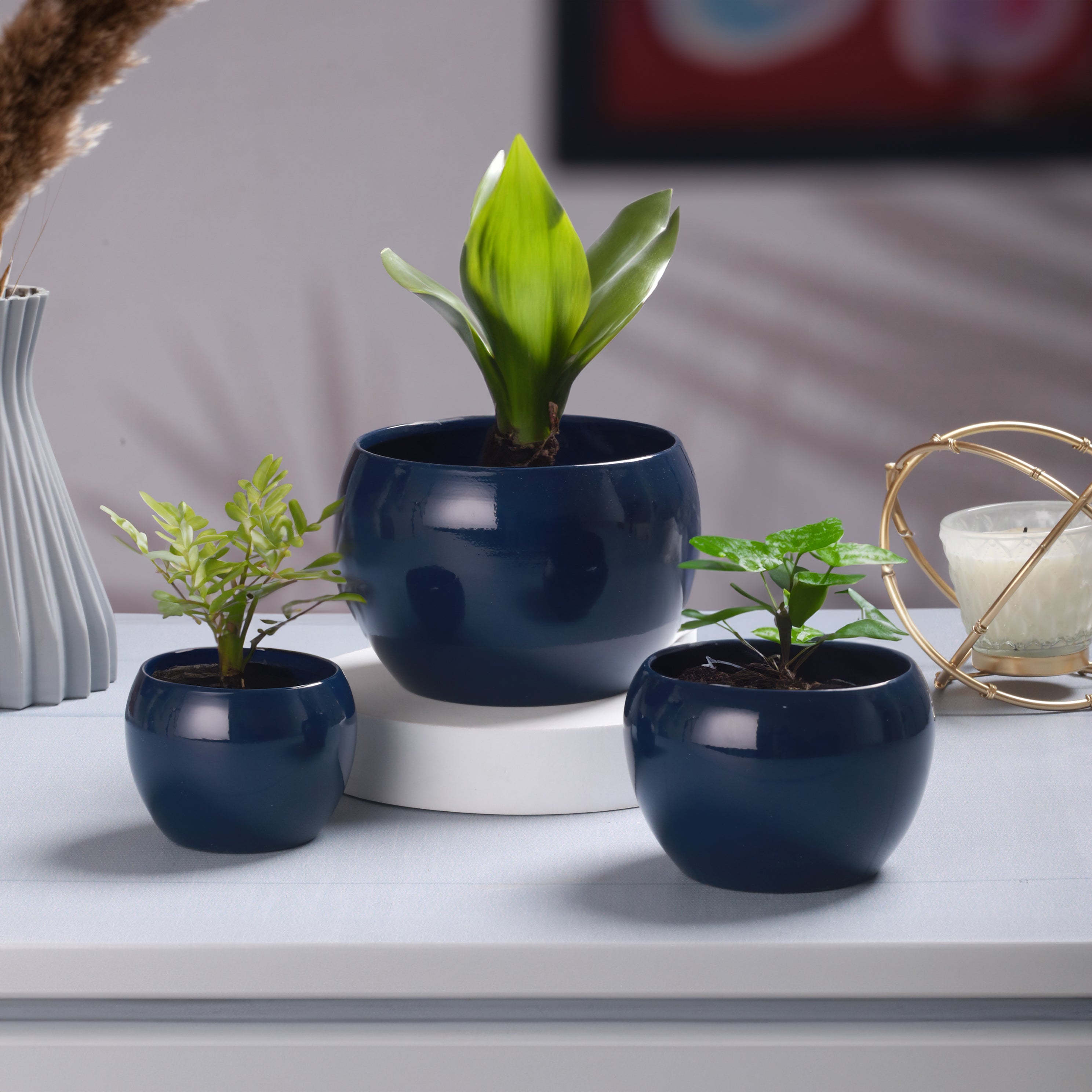 Ivera Dune Planter - Set of Three